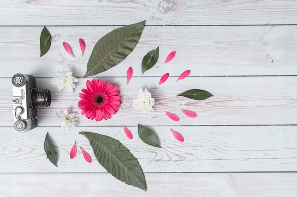 Retro kamera blisko świeżych kwiatów i liści